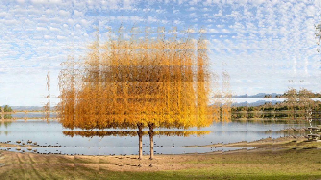 Flick, Robbert, Willow131217a@10 lo res